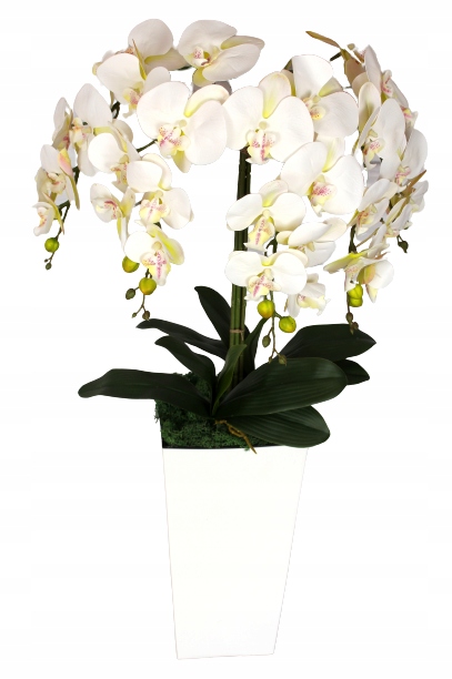 STORCZYK SZTUCZNY STORCZYKI ORCHIDEA KWIAT KWIATY