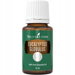 Young Living Eucalyptus Globulus eukaliptus czysty olejek eteryczny