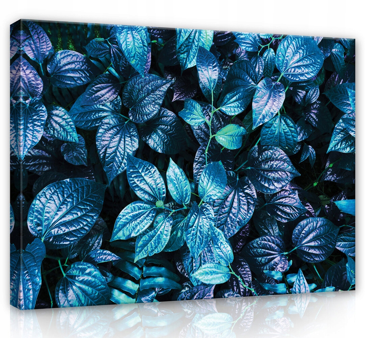 Obraz Na Plátně Canvas 100x75 Listy Rostlinky