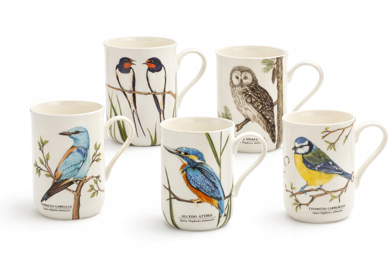 5 x Porcelánový hrnček s motívom „Vtáky Poľský“ 300 ml hrnčeky, sada