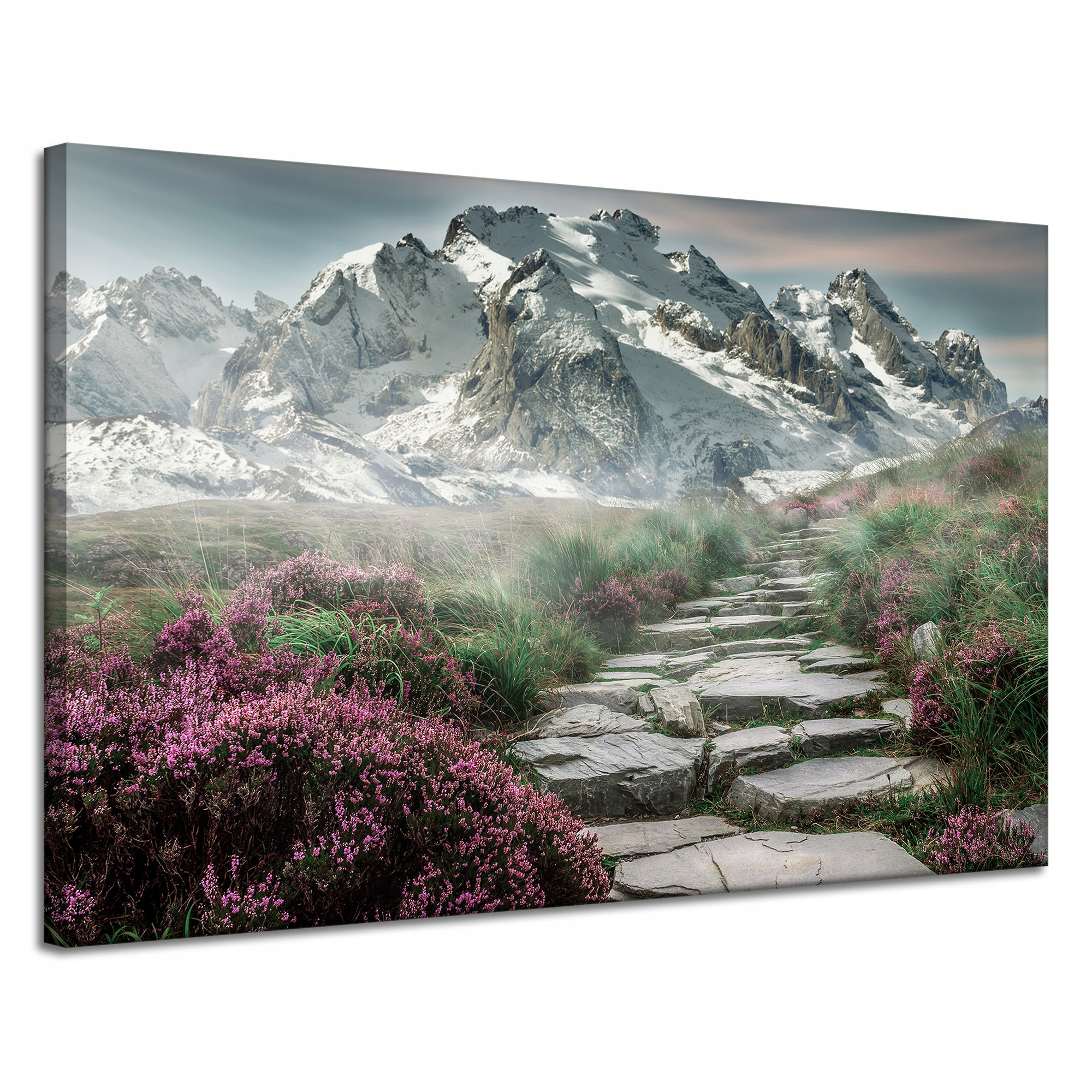 Obraz na plátně Příroda Vřes v horách 120x80 cm