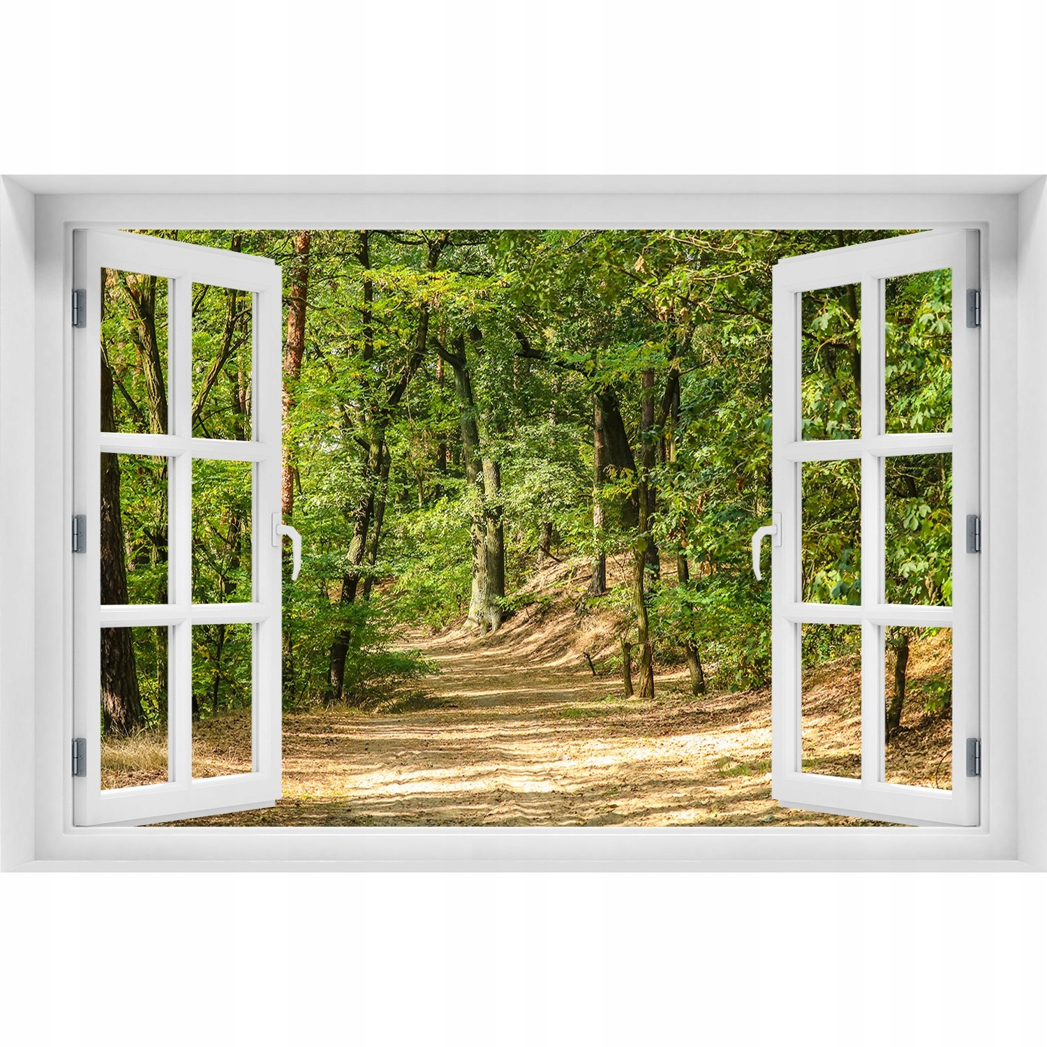 

Fototapeta Naklejka na ścianę Leśna ścieżka 90x60