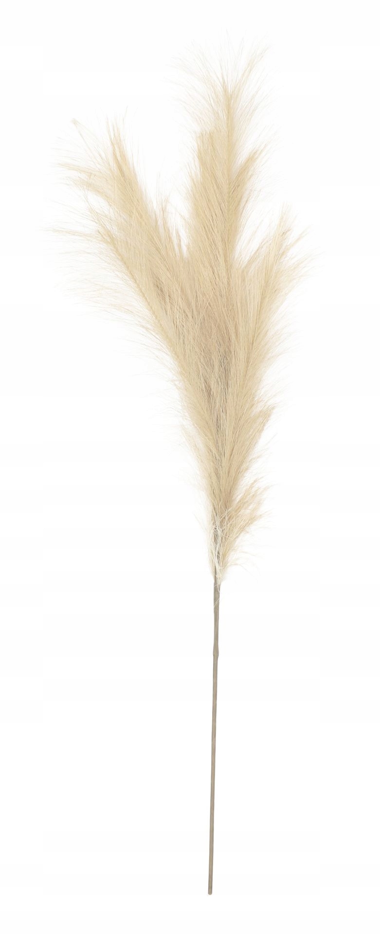 

Sztuczna Trawa PAMPASOWA-80cm-kol.ecru