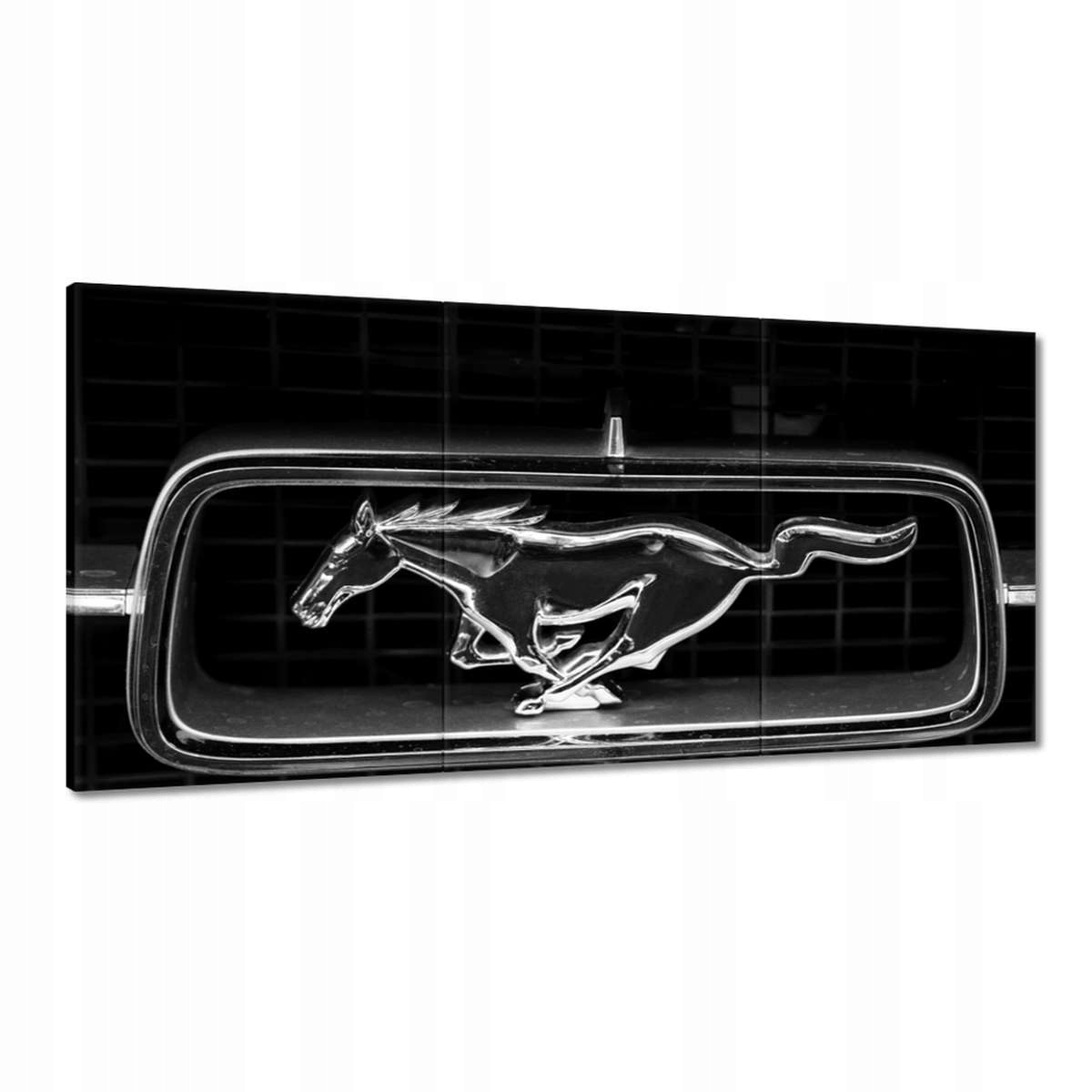 Obrazy 180x90 Ford Mustang znak