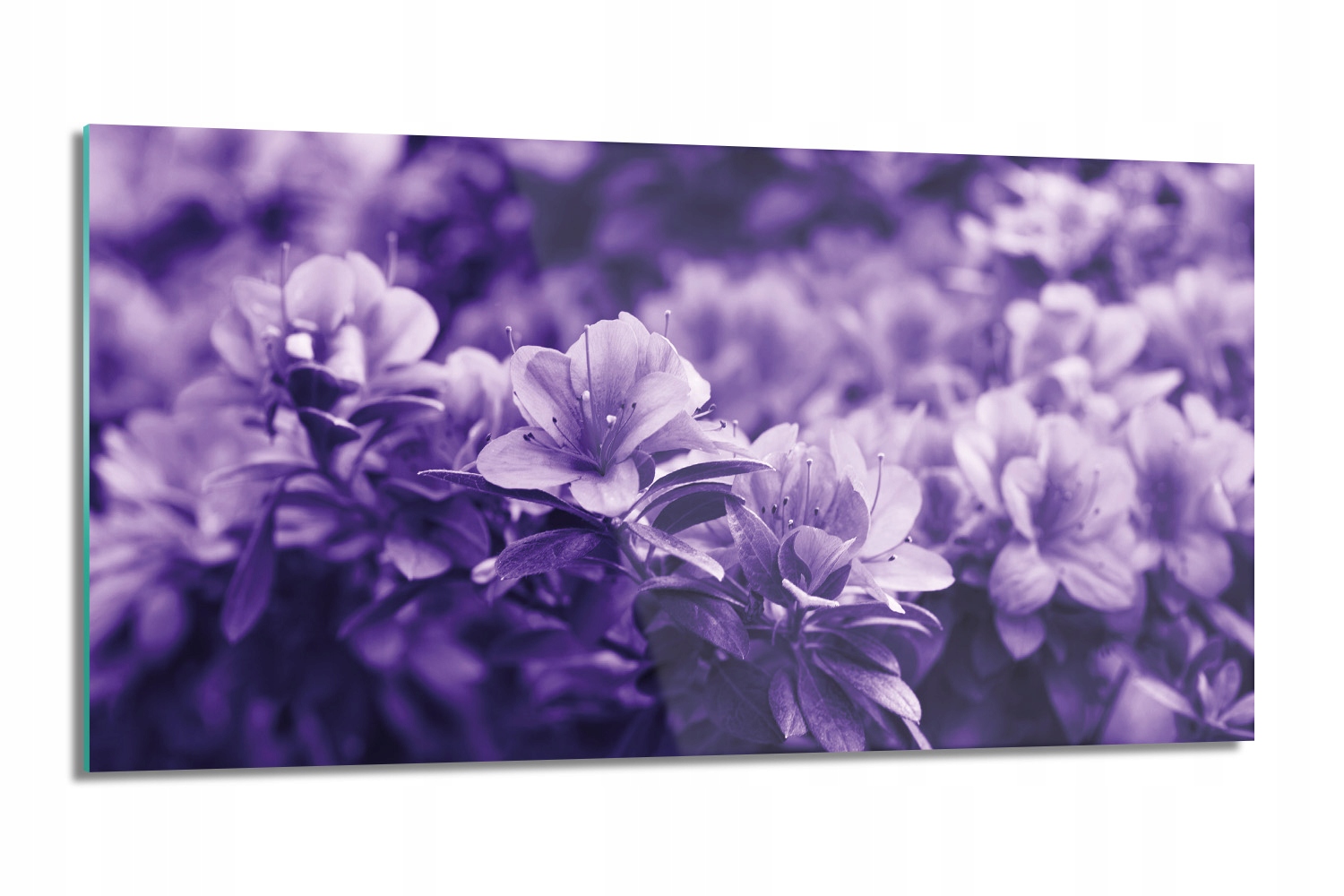 Kuchyňský panel lacobel Květiny keř rostliny 100x50