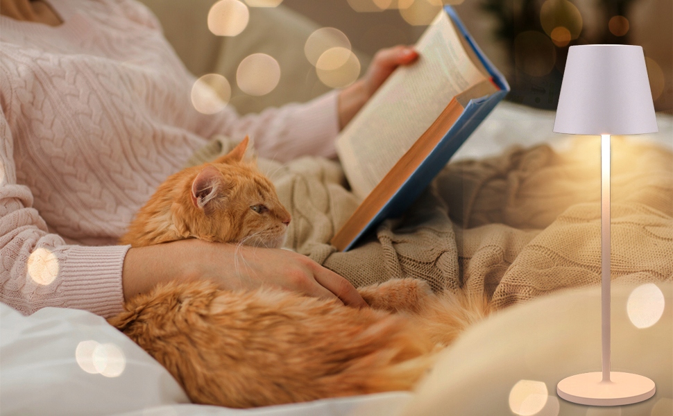 Lampka nocna stołowa K-bright 6 W ciepła biel Kod producenta YX-GT-001-DG-4K