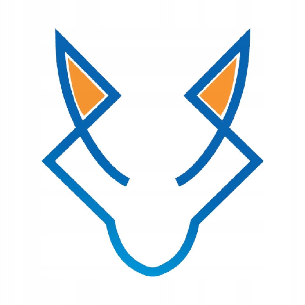 FGaMe _i5 13400 10 rdzeni 16 wątków_32GB_RTX 4060 _SSD M2 1TB _ RGB 550W Typ dysku twardego SSD (M.2)