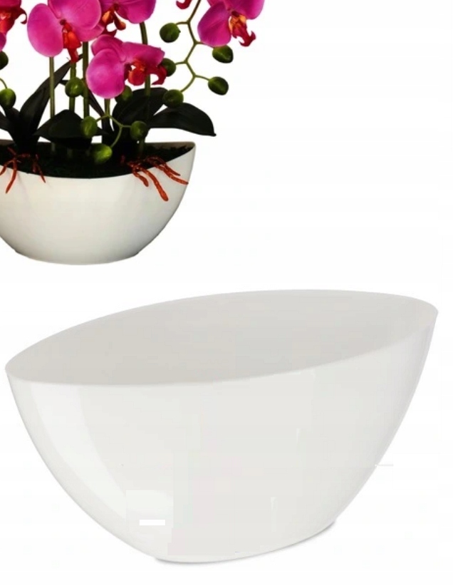 DONICZKA OSŁONKA /ŁÓDKA BIAŁA Z POŁYSKIEM - KOLORY