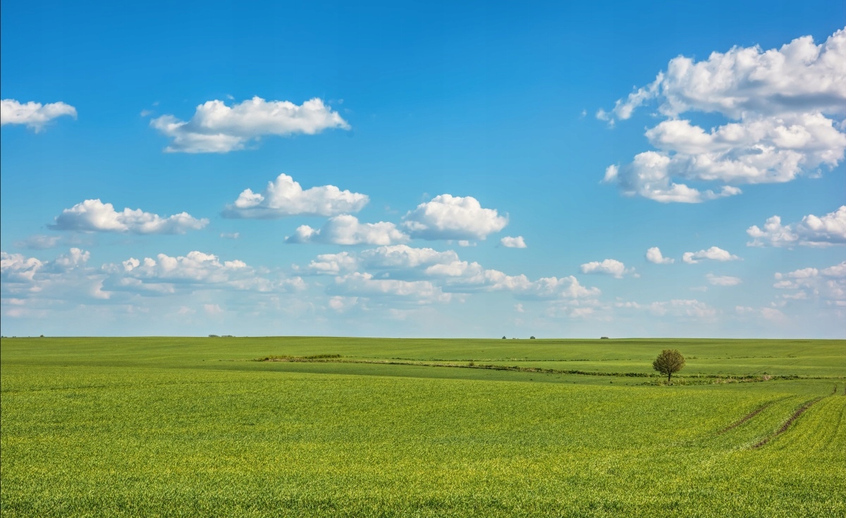 

Fototapeta Flizelinowa Łąka Niebo 416x254