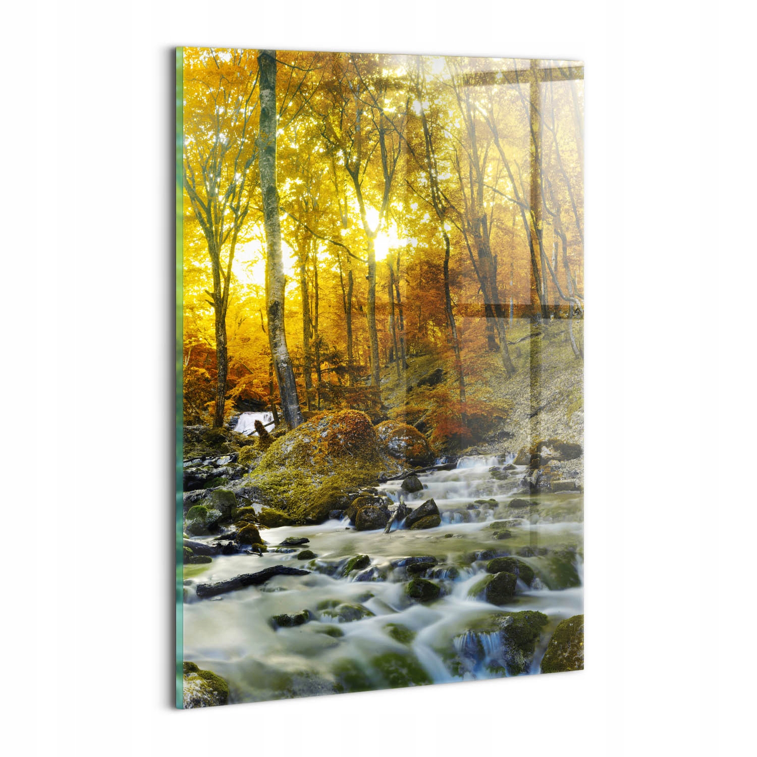 Fotoobraz na stěnu na tvrzeném skle Grafika do kuchyně Podzimní les 20x30