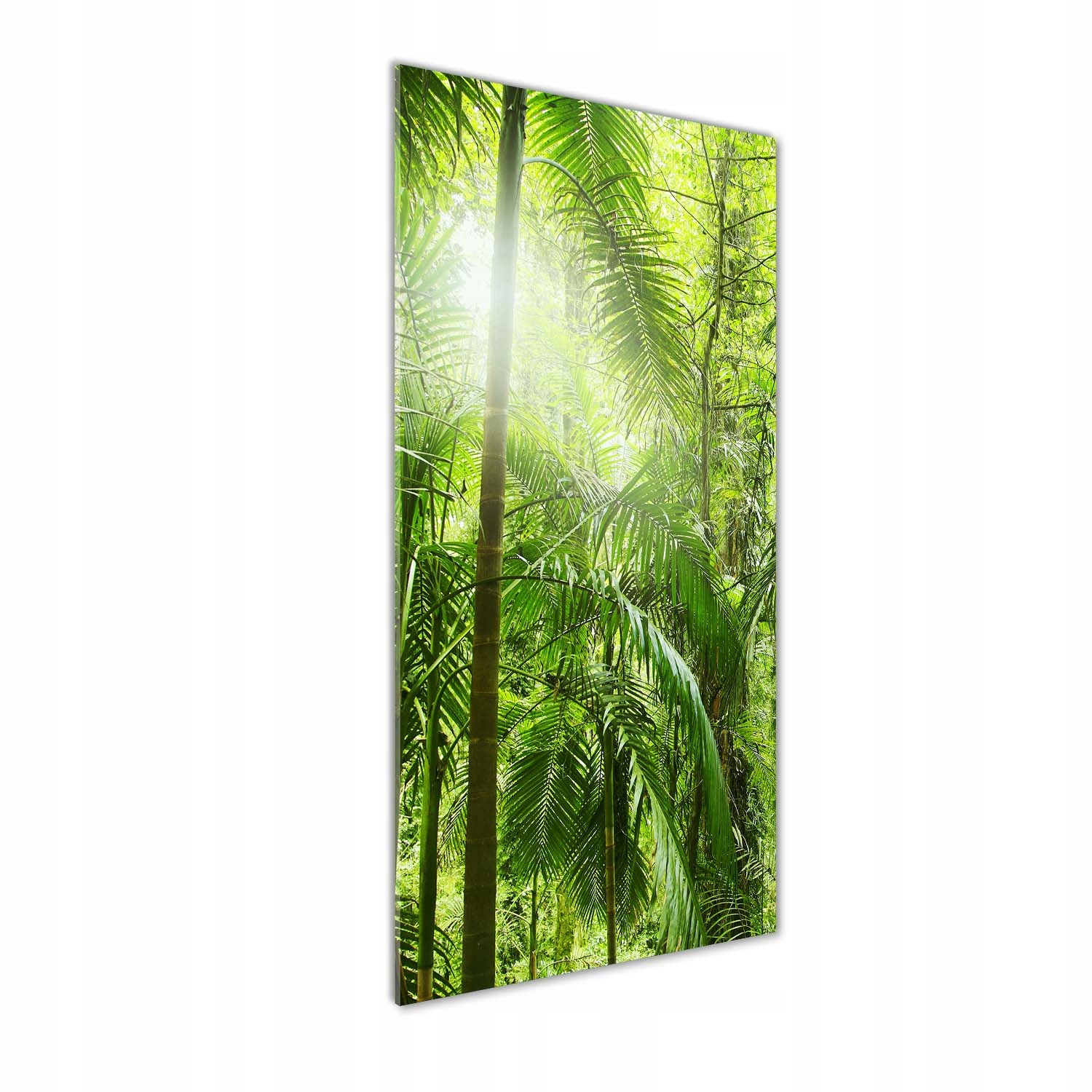 Fotoobraz tvrzené sklo Deštný prales 50x125 cm