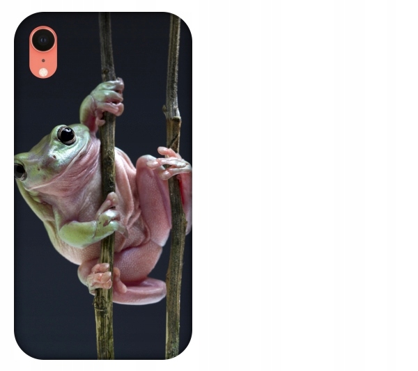 

Etui pokrowiec iPhone Xr Zaba smieszne zwierzeta