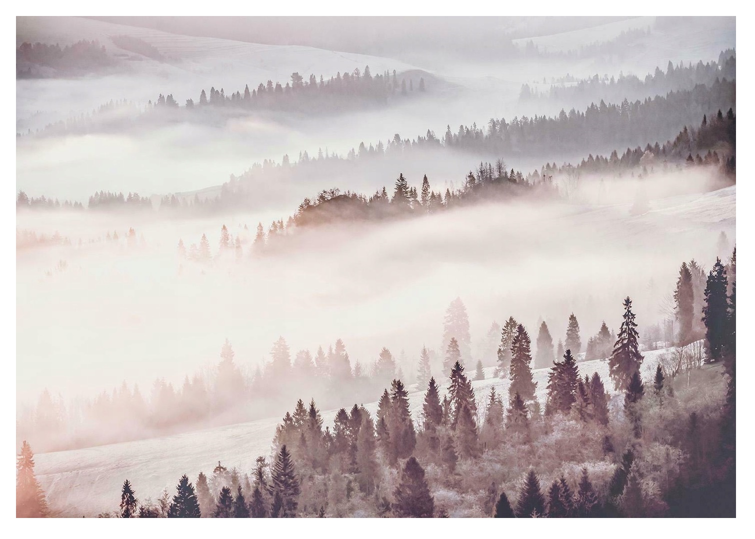 Fototapeta Les V Mlze 3D Hory Ložnice 416x254