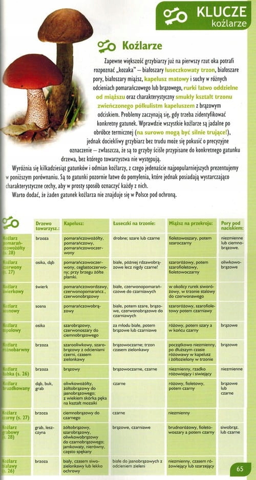 PRAKTYCZNY ATLAS GRZYBÓW PORADNIK DEMART ISBN 9788379125616