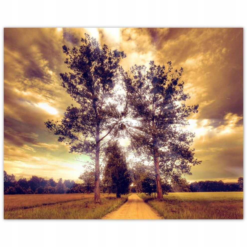 

Plakat 50x40 Wiejski pejzaż z drogą