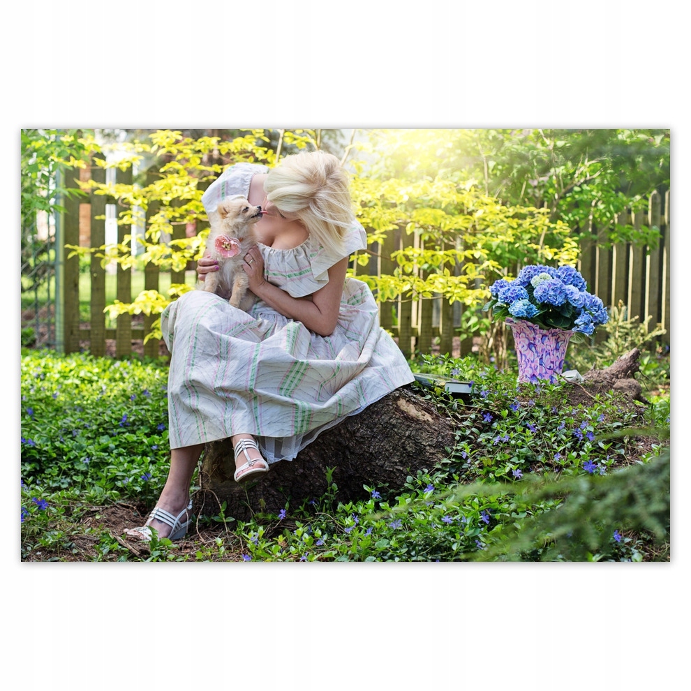 

Plakaty 93x62 Pies Piesek Psiaki