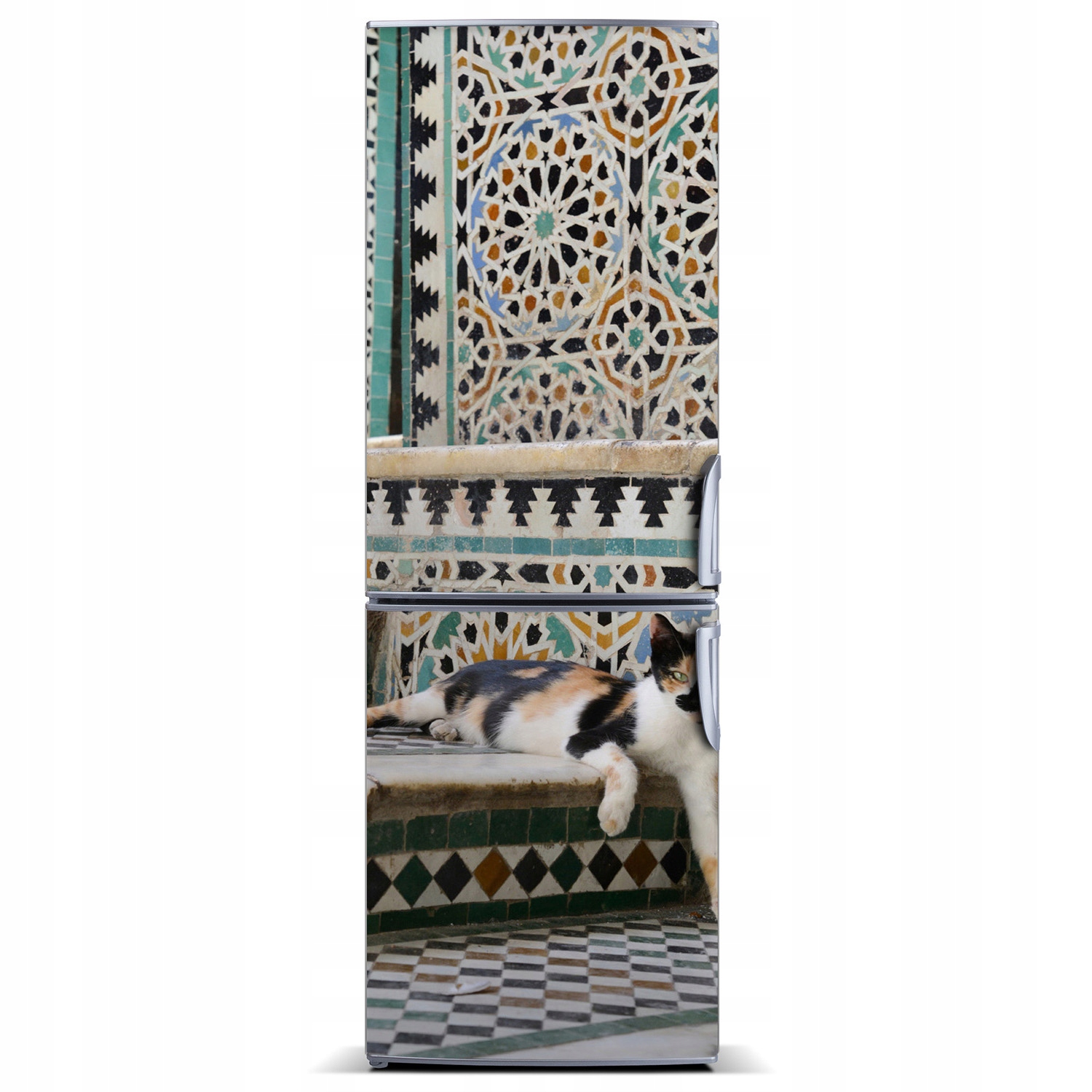 

Naklejka magnetyczna lodówkę Kot w Maroko 60x180