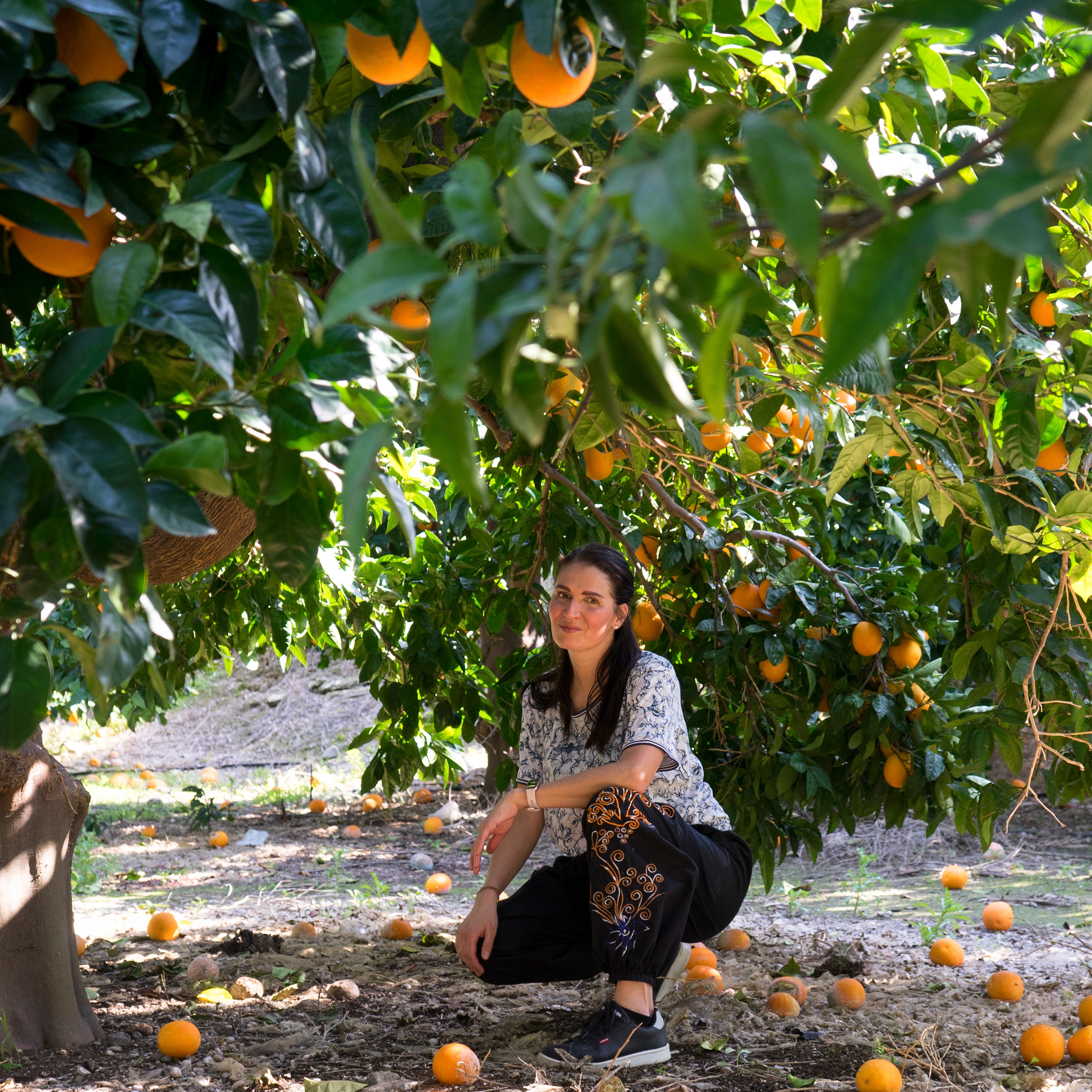 Spodnie indyjskie, pumpy haftowane Agra Model pumpy