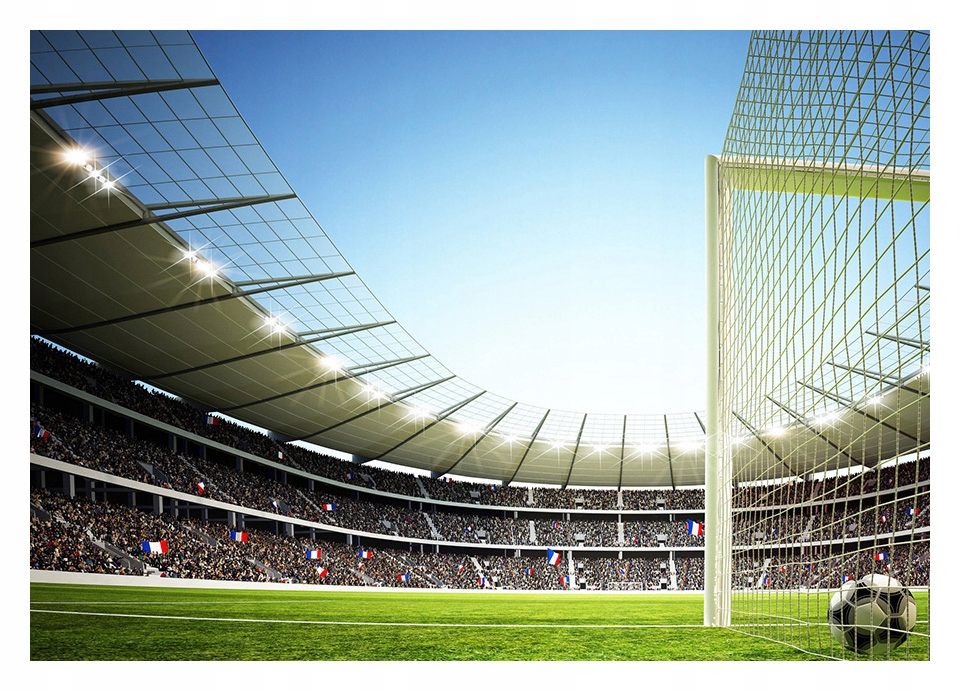 

Fototapeta 3D Piłka Nożna Stadion 152x104 F00775