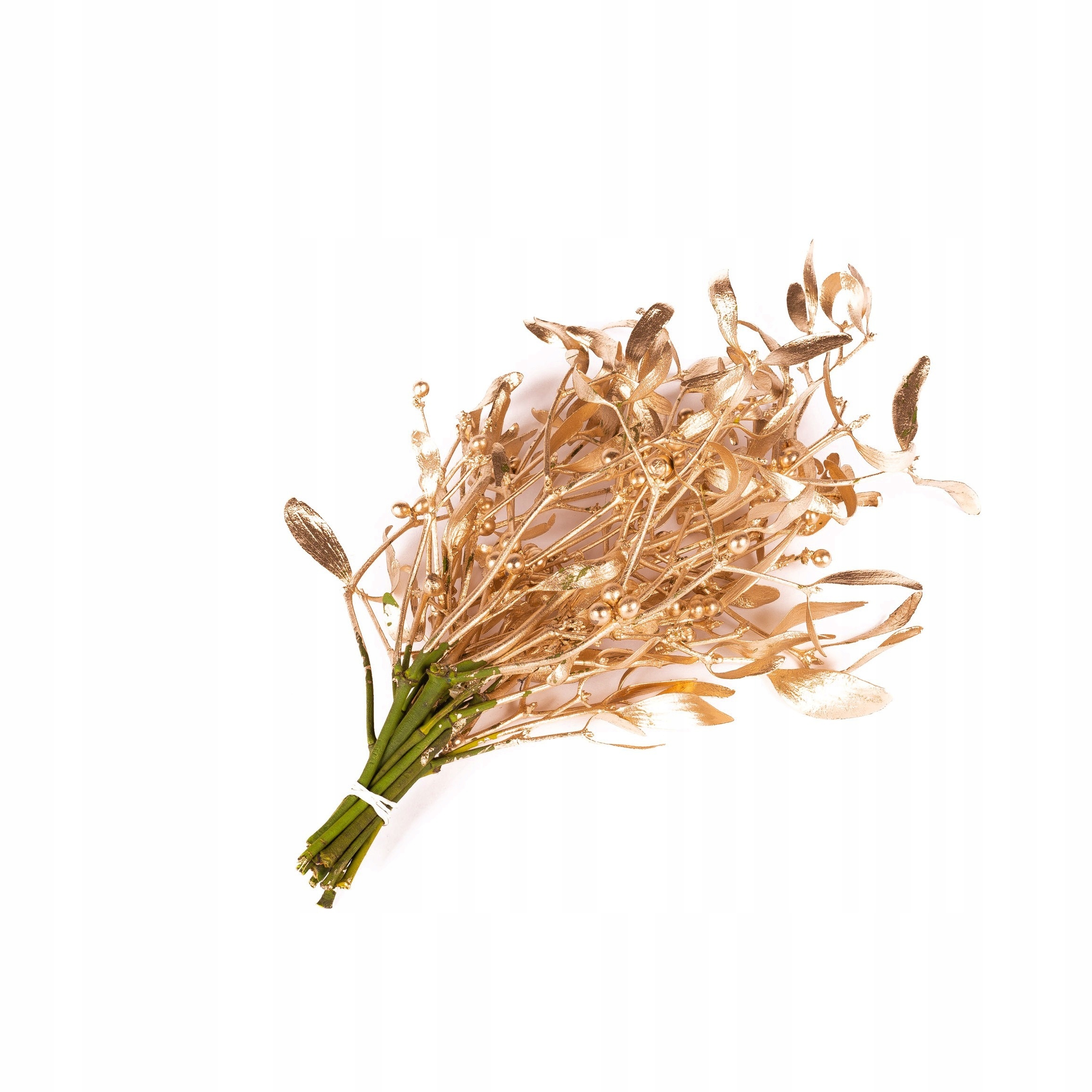 

Jemioła Złota Żywa Do Zawieszenia Bożonarodzeniowa