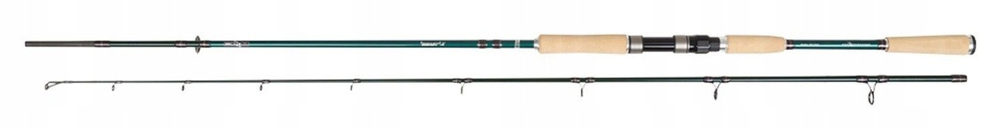 Wędka Abu Garcia Beast X Pike 2,54M 40-140G Xh Spin