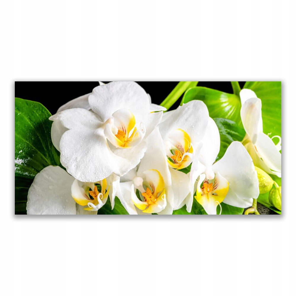 

Obraz akryl ścienny 140x70 Orchidea Kwiaty Natura