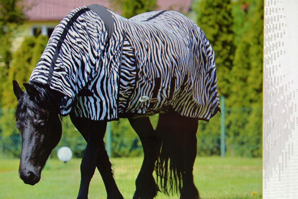 DERKA SIATKOWA Z KAPTUREM PRZECIW OWADOM 105cm kuc Model YORK