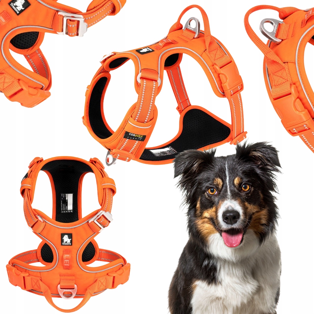 Levně Postroj Pro Psa Easy Walk Truelove Front Line Premium Cordura Oranžový L