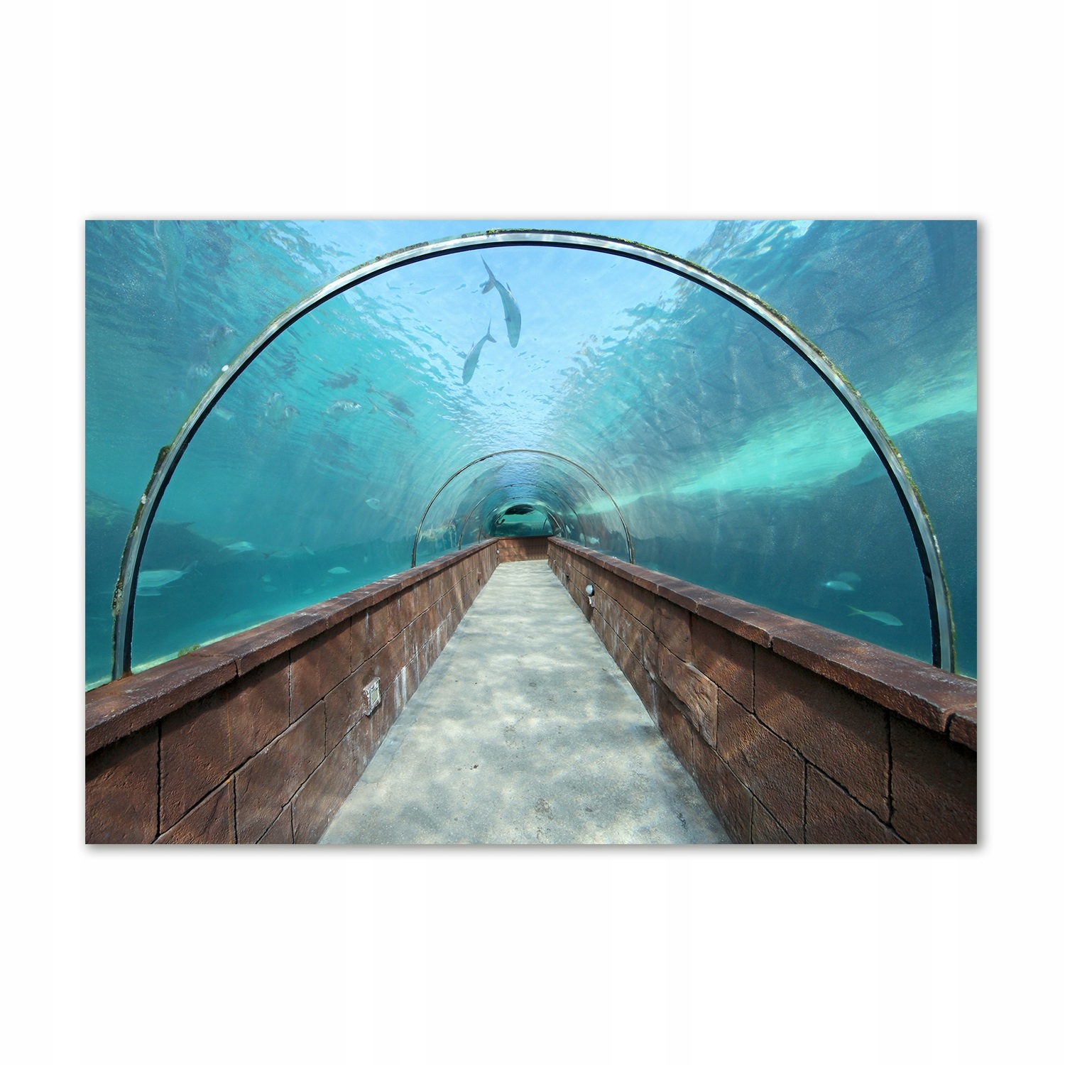 

Foto obraz szkło akryl Tunel akwarium 100x70 cm