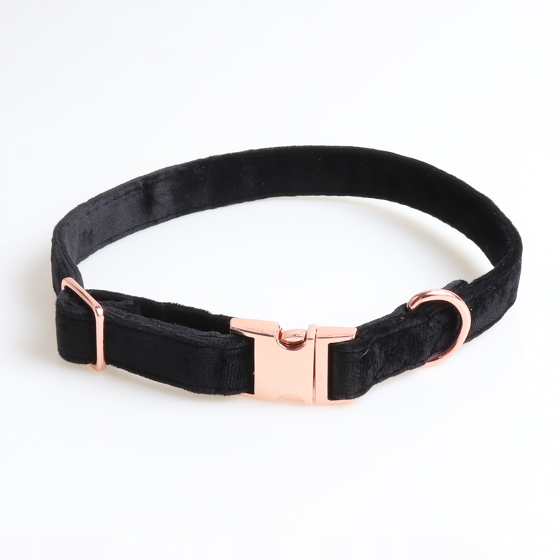 

Welurowa miękka obroża M 30-48 cm złote klamry