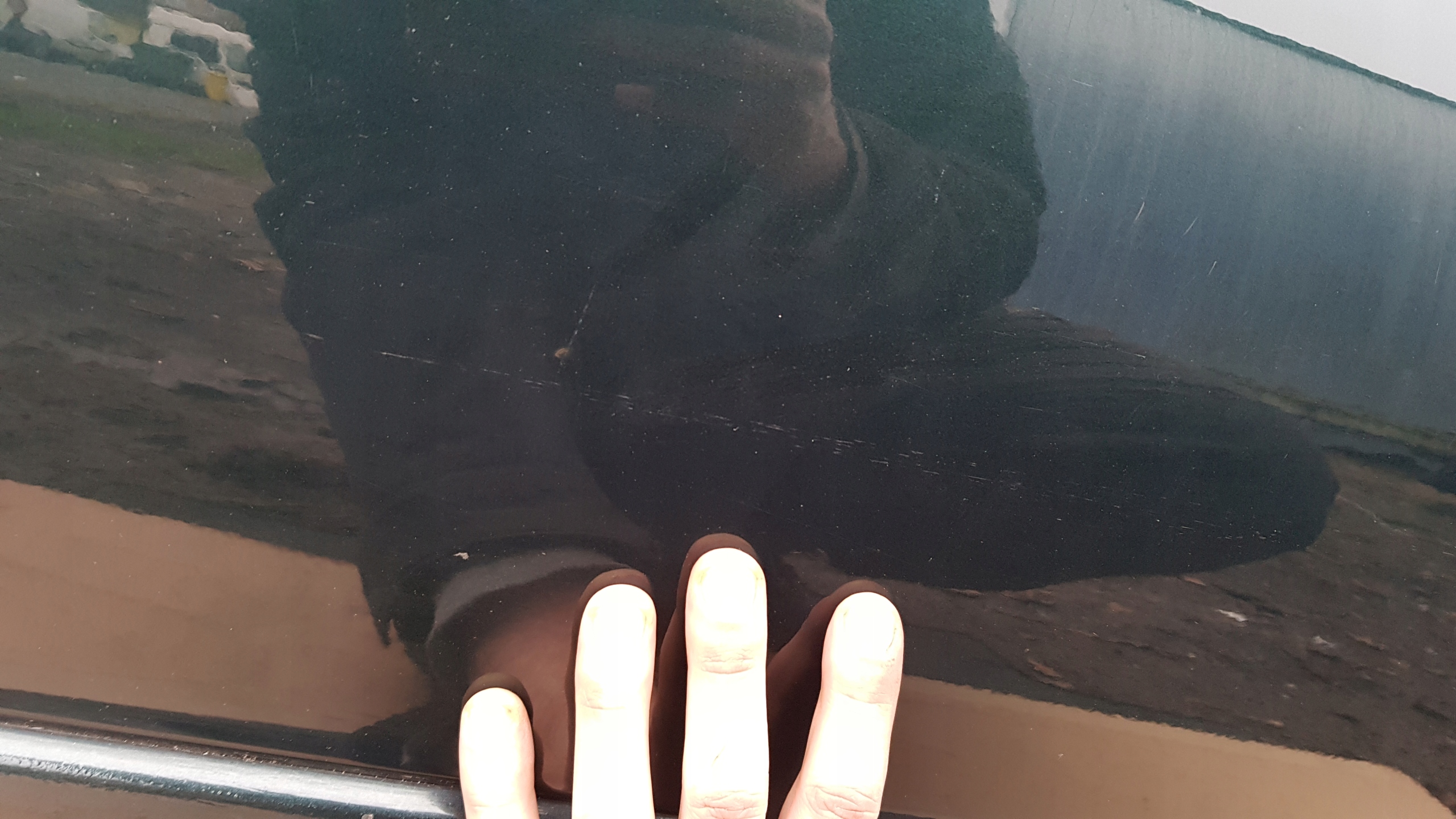 BMW E39 door right front OXFORDGRUEN2