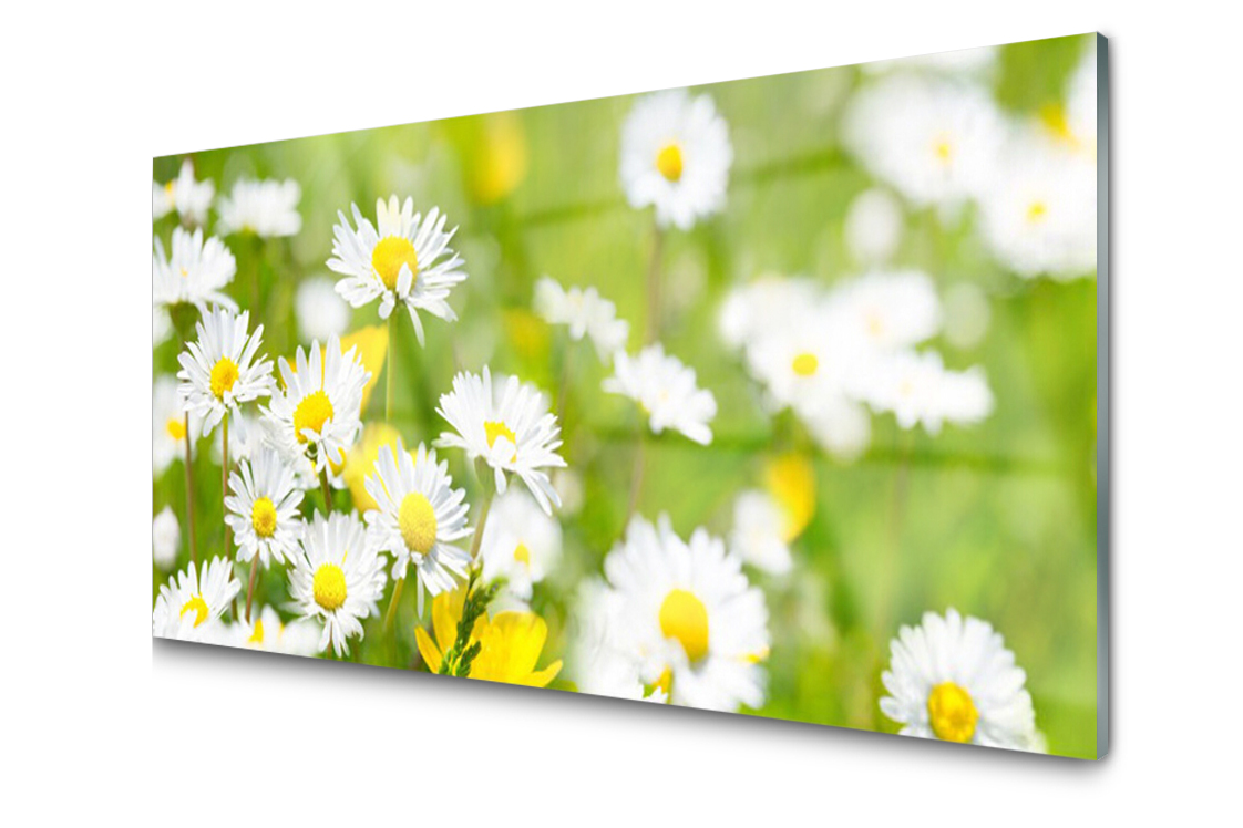 

Panel szklany Płytka Stokrotka Kwiat 120x60