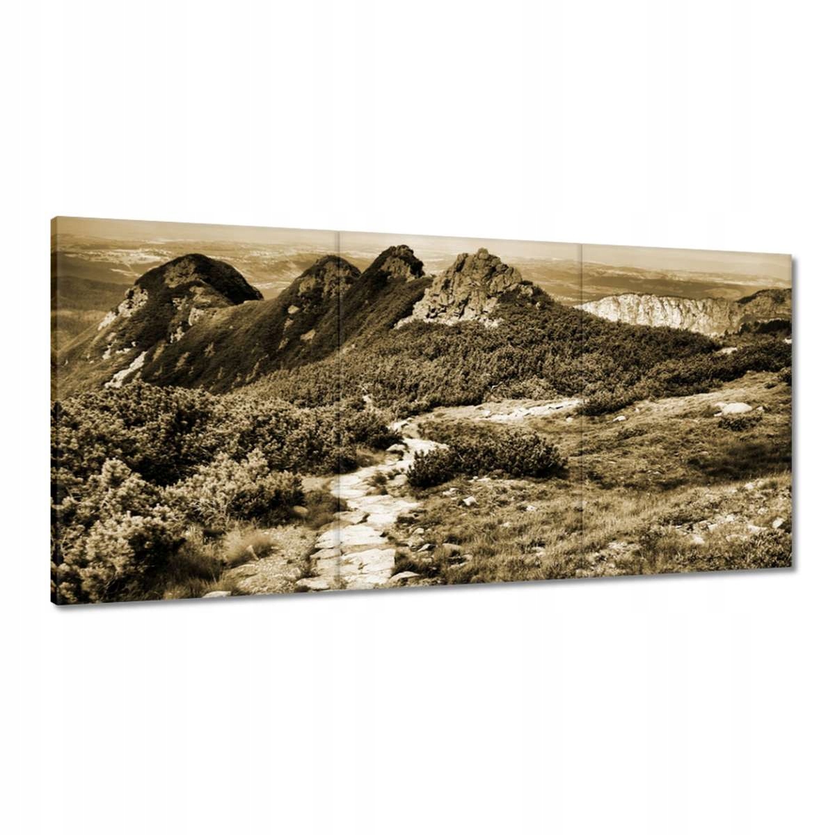 Obrazy 180x90 Tatry Poľské hory Pohľad