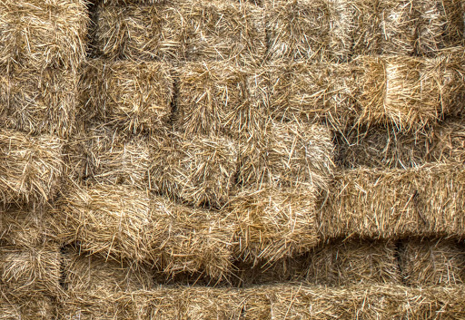 ŚCIÓŁKA PODŁOŻE POD TRUSKAWKI WARZYWA SŁOMA Rodzaj inna