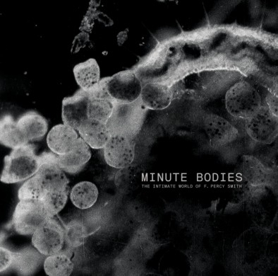 Tindersticks Minute Bodies (Deluxe Limited) (CD+DVD)