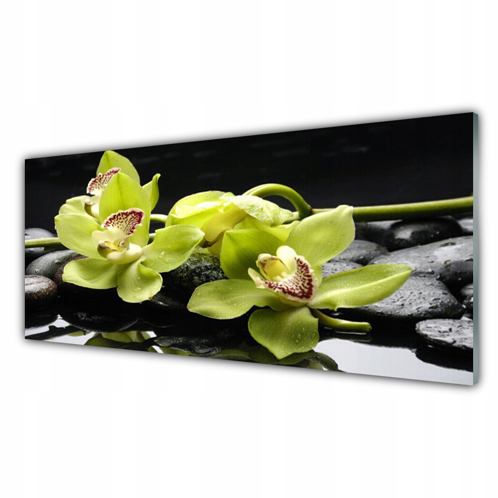 

Fotoobraz na ścianę 125x50 Kwiat Orchidea Roślina