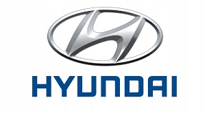 MASKA HYUNDAI IX 35 2010 2015 Part number 664002S00