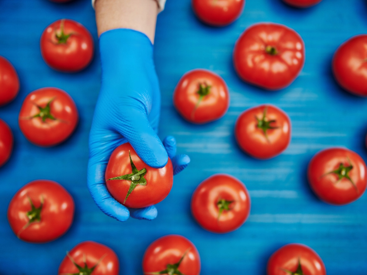 Rękawice rękawiczki nitrylowe MOCNE GRIP BLUE x10 Model Gogrip