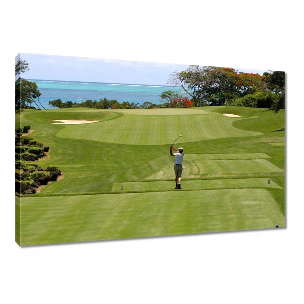 

Obrazy 90x60 Golfista na polu