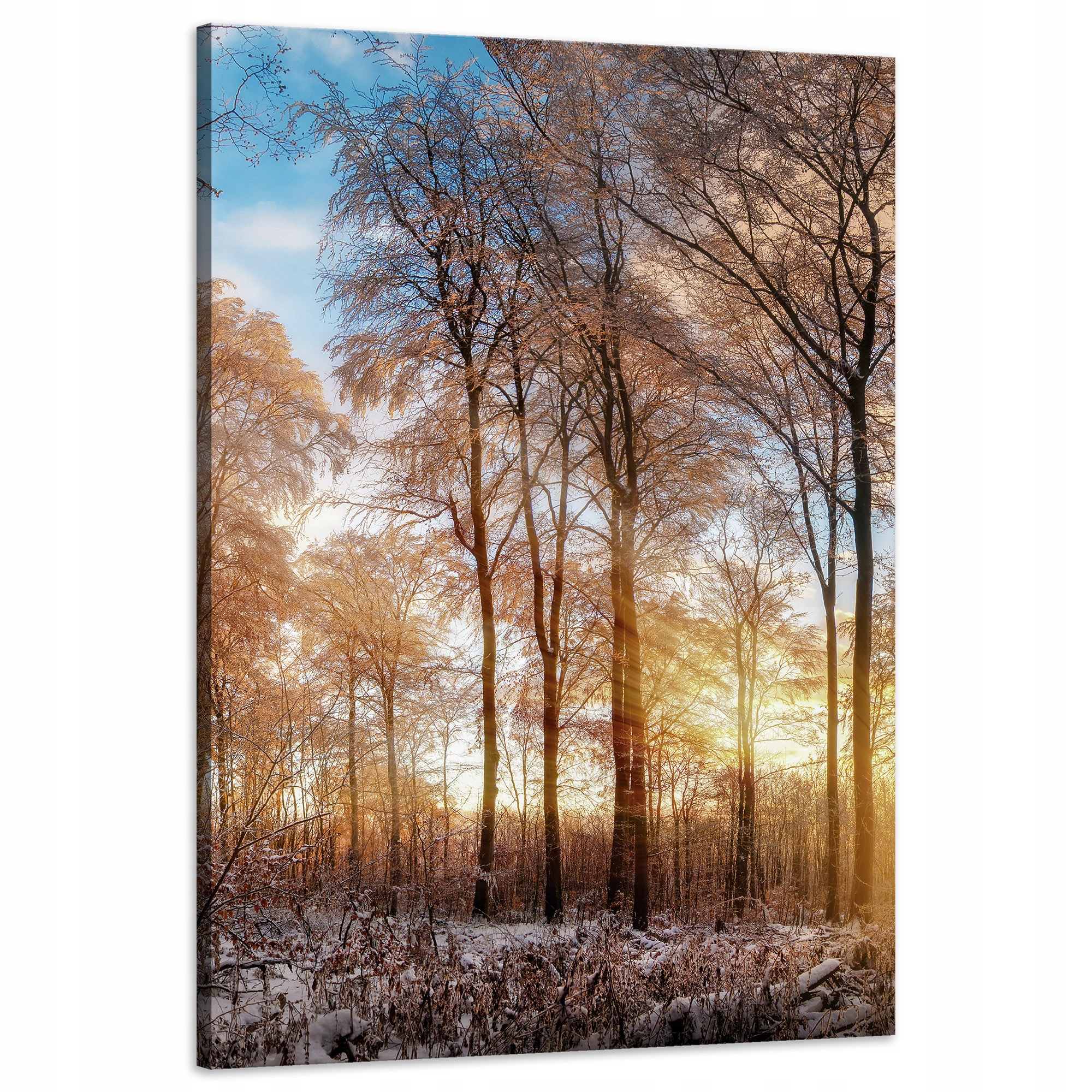 Obraz na plátně Stromy Zima Vycházející Slunce 60x90 cm