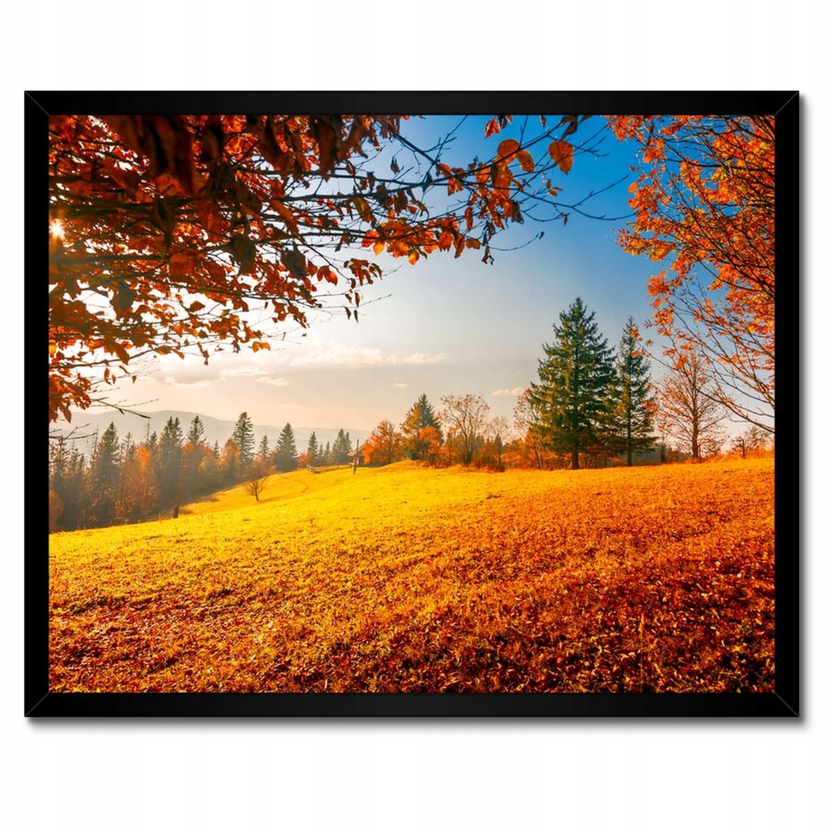 Plakáty v rámu 50x40 Podzimní krajina