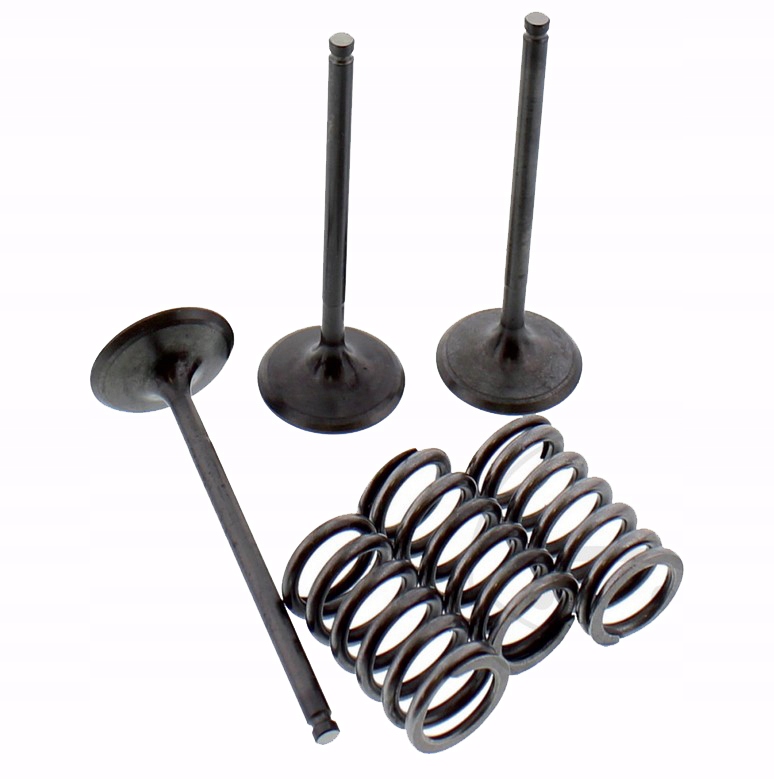 7470640 - ВСАСЫВАЮЩИЙ КЛАПАН ПРУЖИННЫЕ КЛАПАНЫ YAMAHA YZ 450 03-09