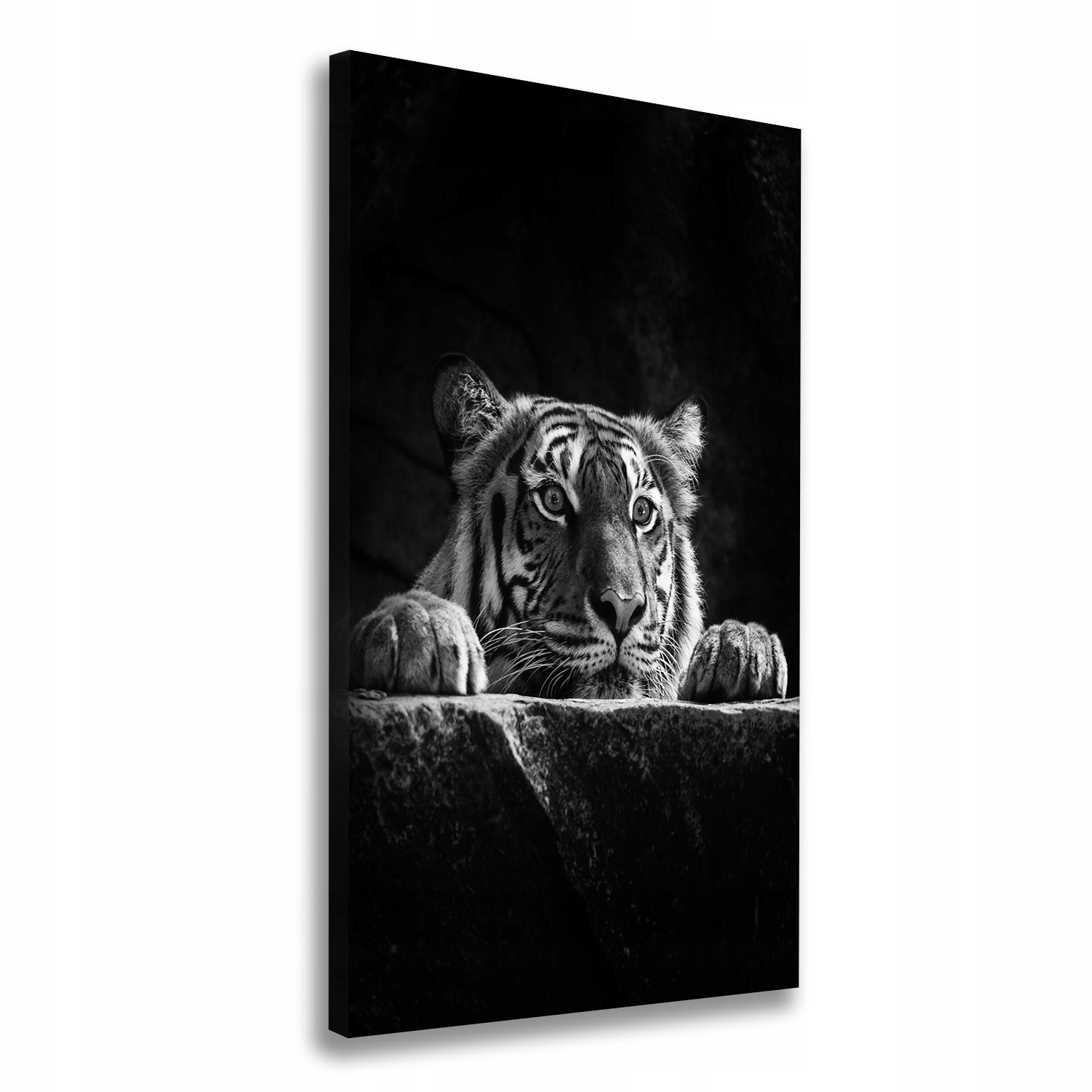 

Nowoczesny fotoobraz canvas na ramie Tygrys 50x100