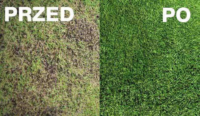 WERTYKULATOR AREATOR DO TRAWY GLEBY GRABIE 2w1 Zasilanie ręczne