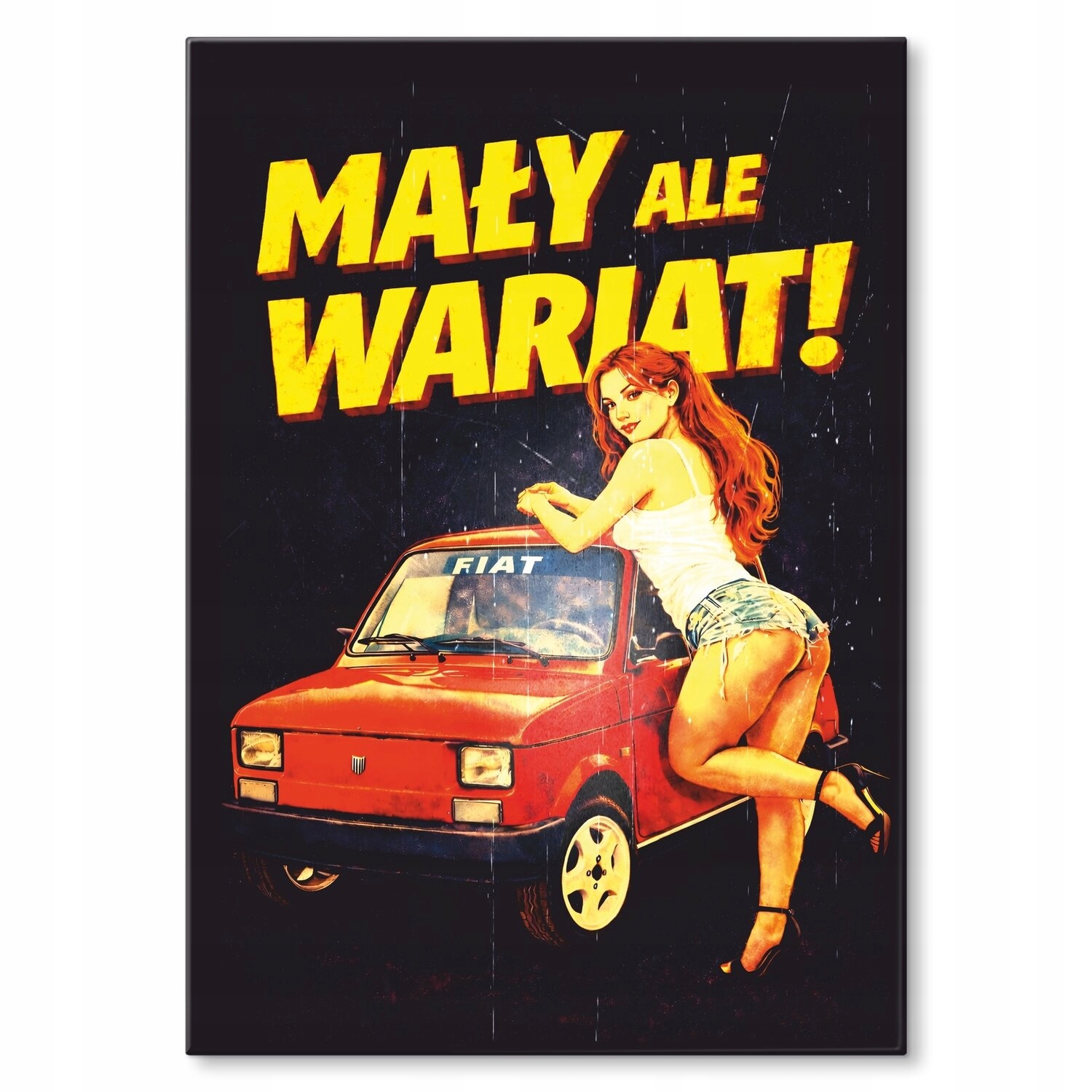 Kovový plakát malý ale blázen dívka Šidítko Plech 42 x 59,4 cm +preze