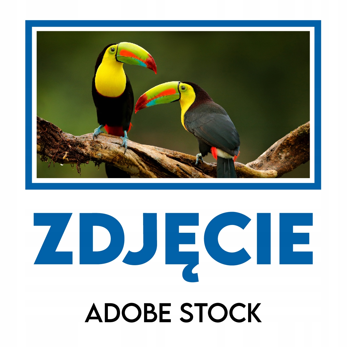ZDJĘCIE grafika STOCK Fotolia Adobe stock