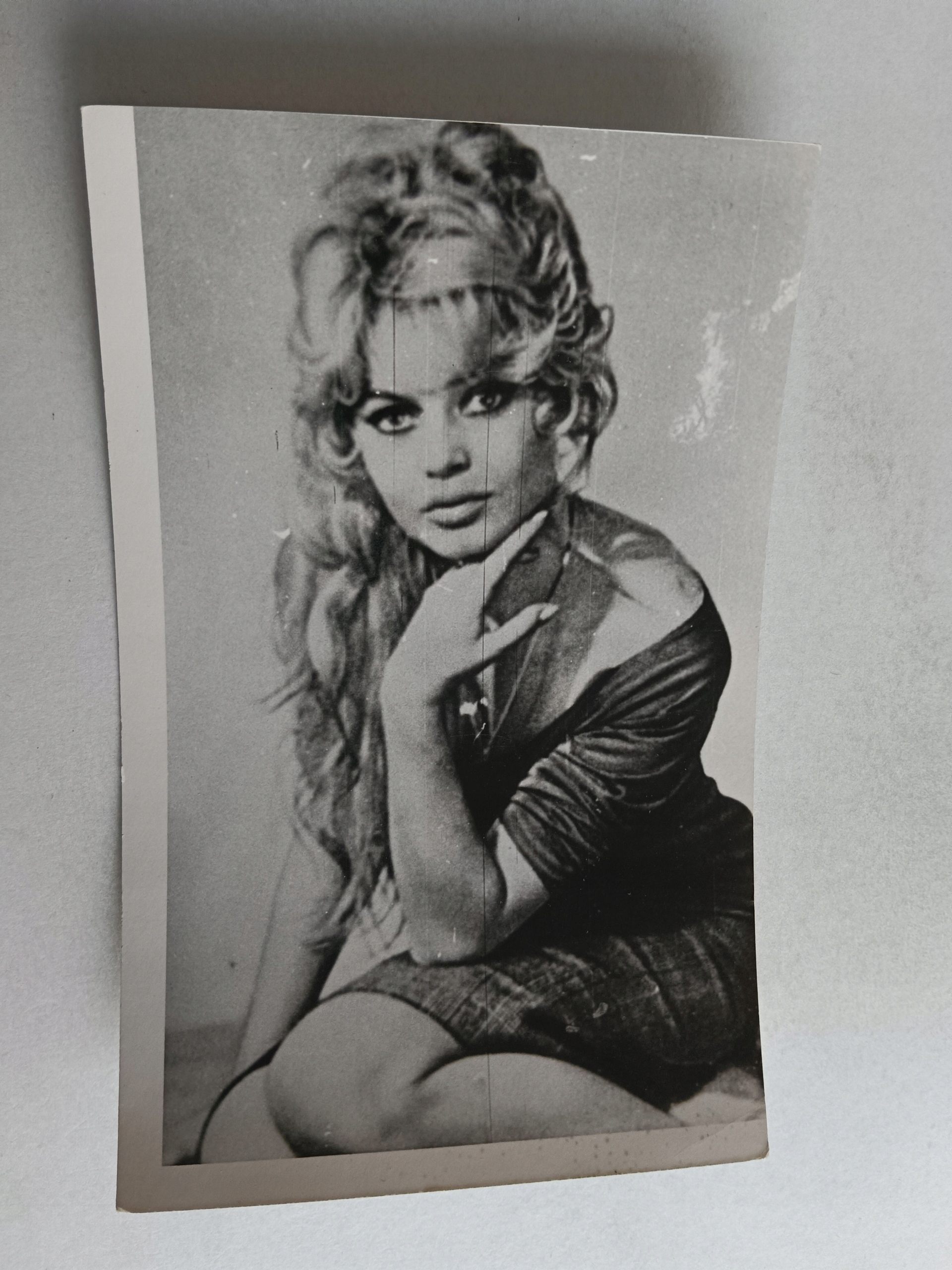 ZDJĘCIE BRIGITTE BARDOT 17665 A