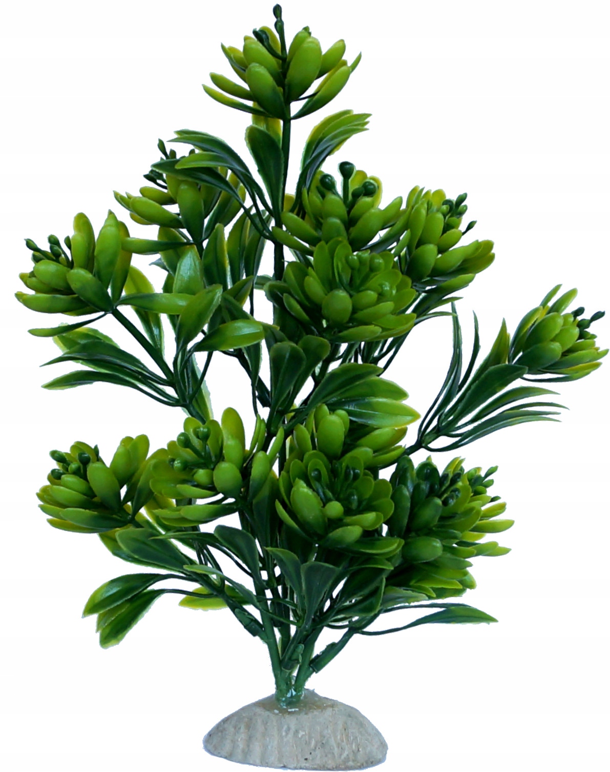 

dekoracyjna roślina sztuczna do akwarium 20cm 2.46