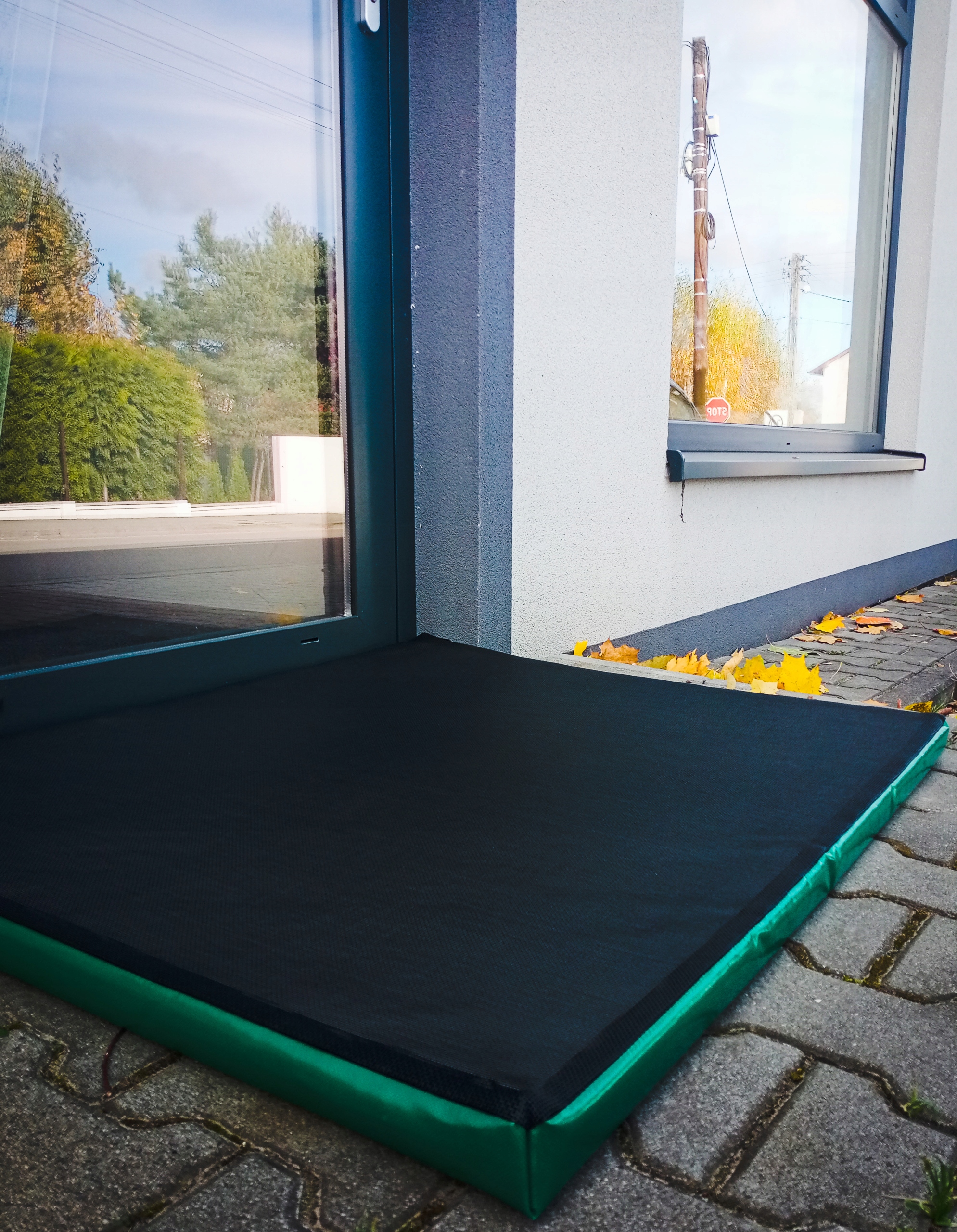 

Mata dezynfekująca wejściowa Arkin 50x60