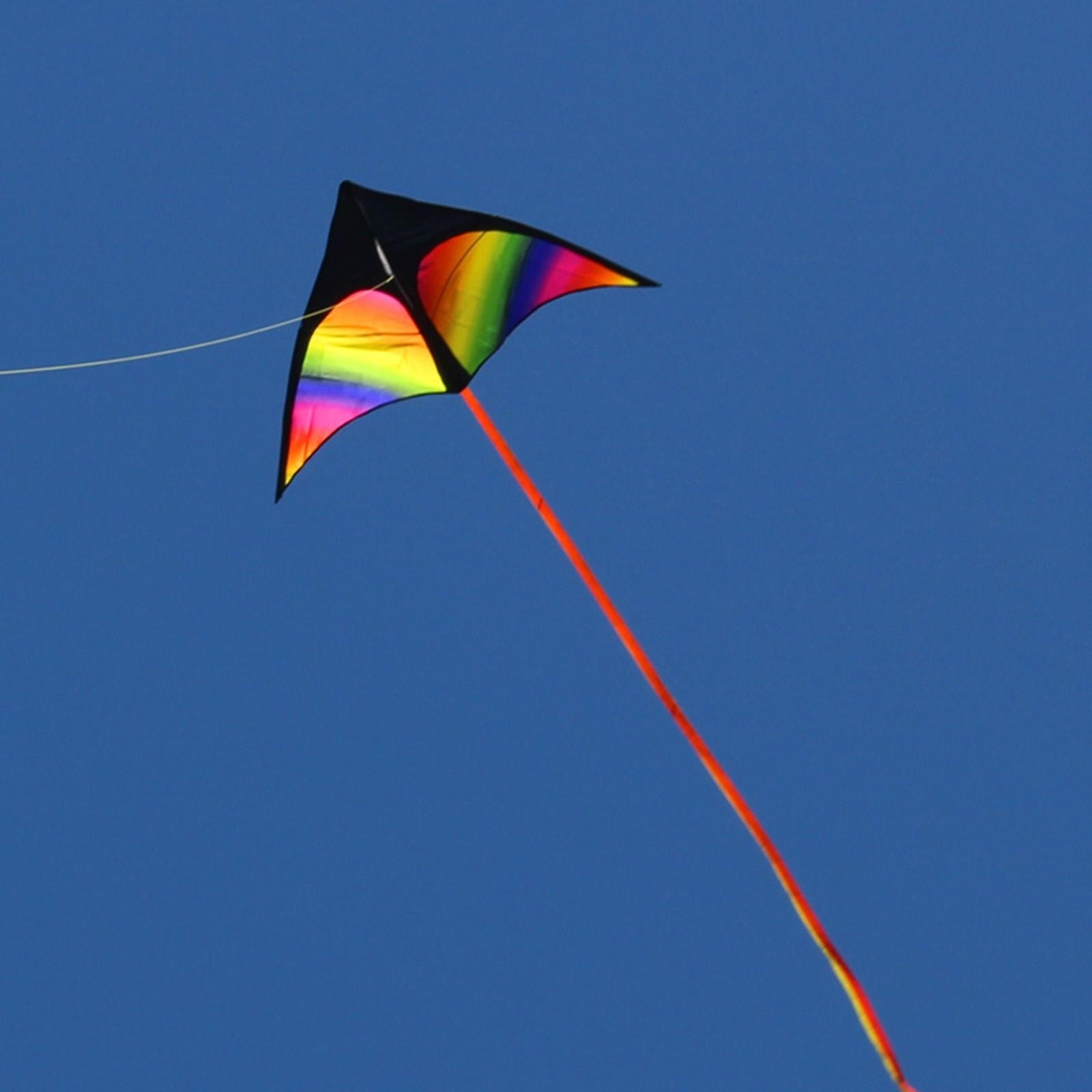 Giant Delta Kite, latawiec łatwy do latania z Powierzchnia 0 m²